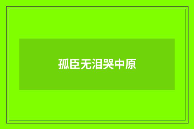 孤臣无泪哭中原