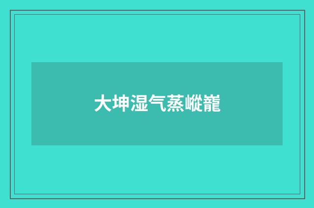 大坤湿气蒸嵷巃