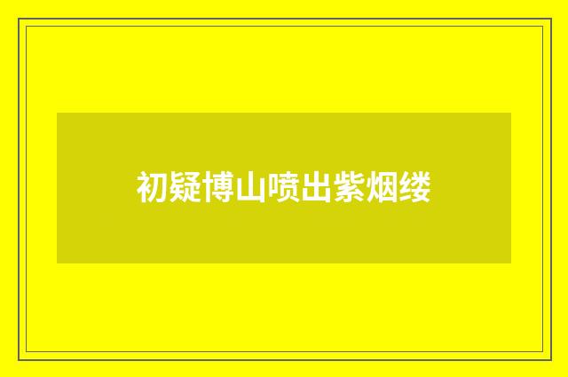 初疑博山喷出紫烟缕