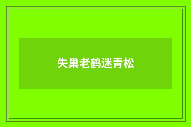 失巢老鹤迷青松