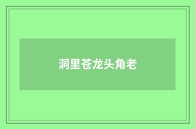 洞里苍龙头角老