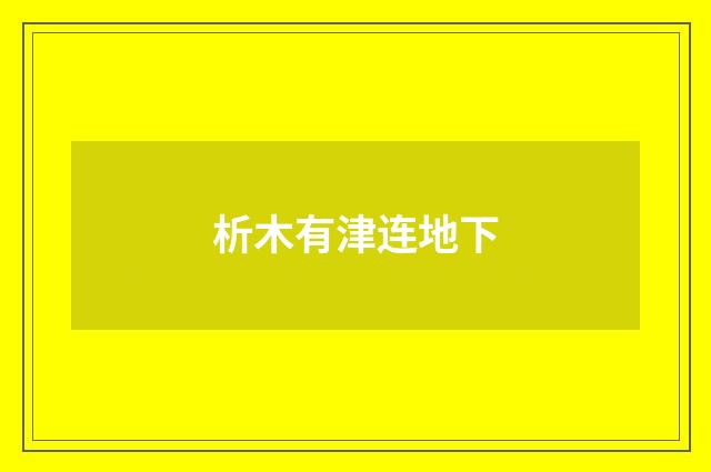 析木有津连地下