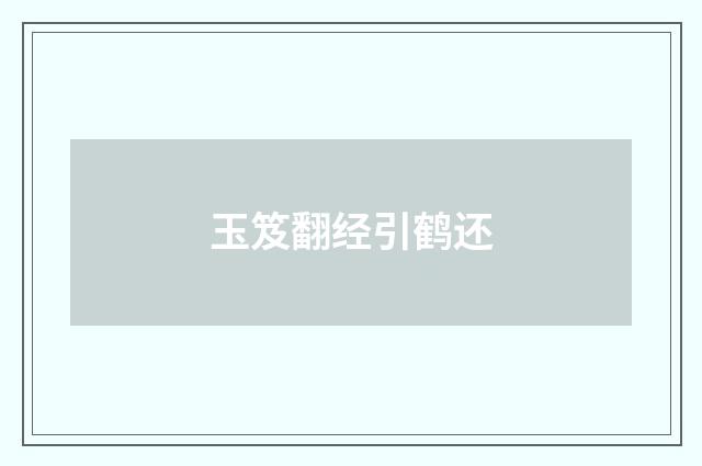 玉笈翻经引鹤还