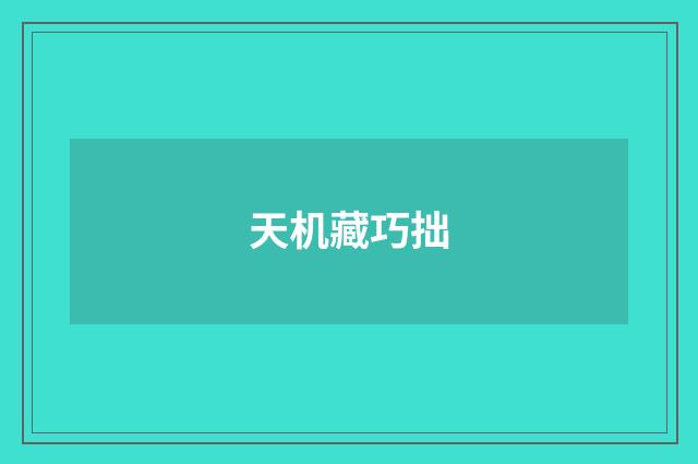 天机藏巧拙