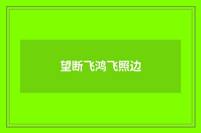 望断飞鸿飞照边