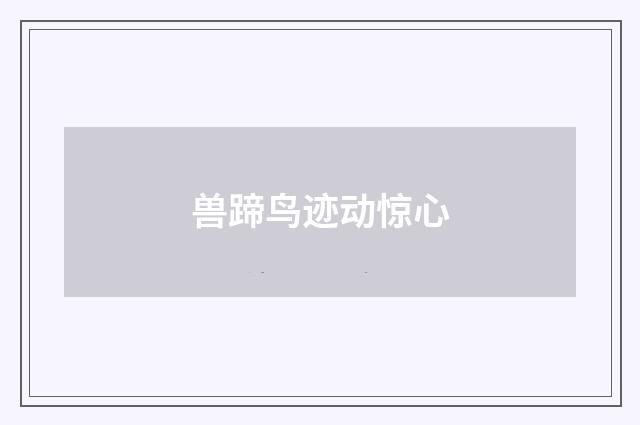 兽蹄鸟迹动惊心
