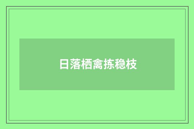 日落栖禽拣稳枝