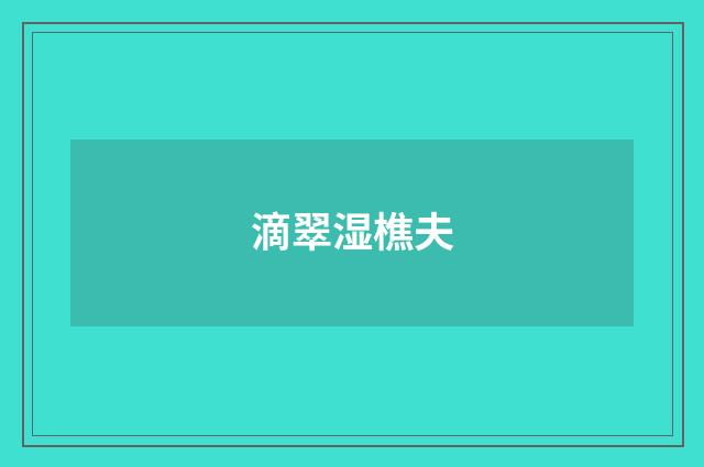 滴翠湿樵夫