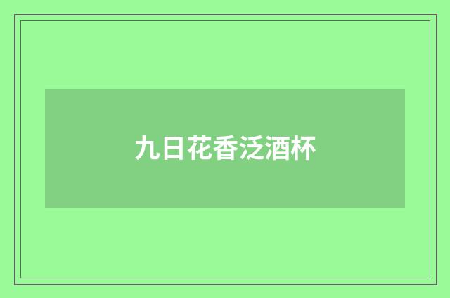 九日花香泛酒杯