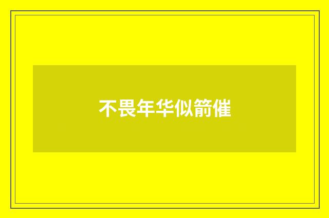 不畏年华似箭催