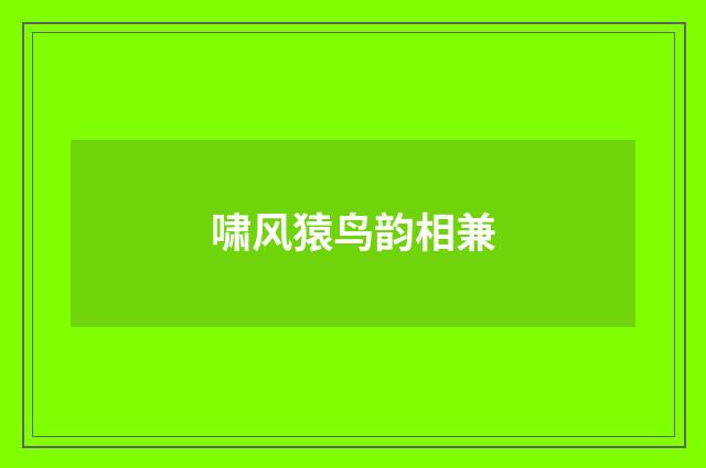 啸风猿鸟韵相兼