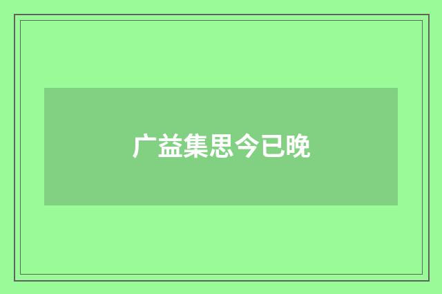 广益集思今已晚