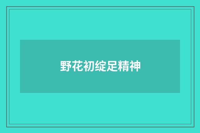 野花初绽足精神