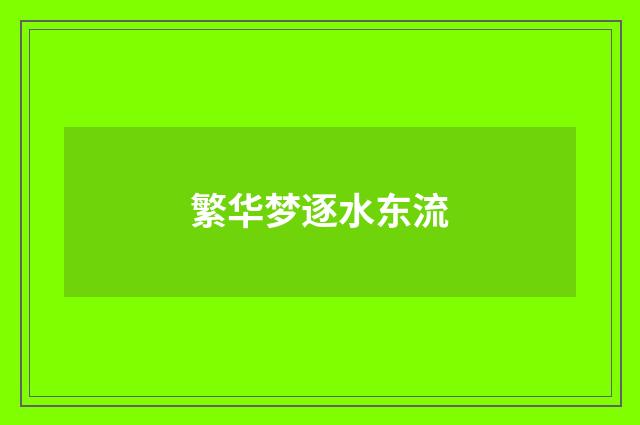 繁华梦逐水东流