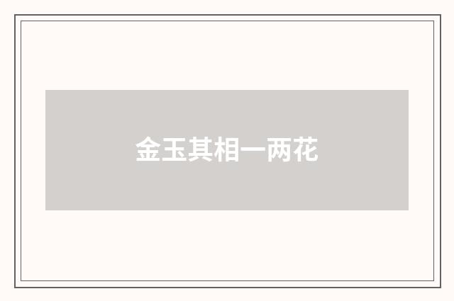 金玉其相一两花
