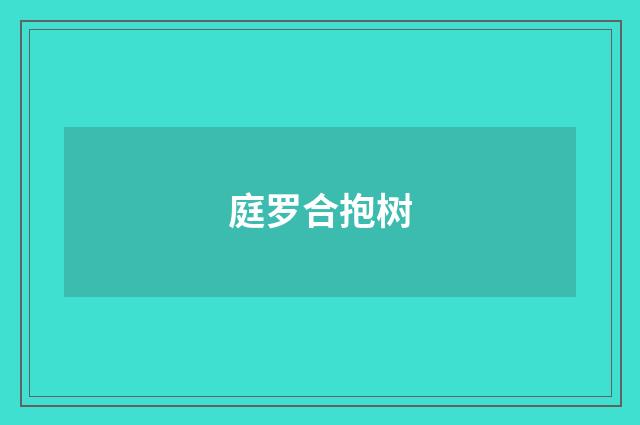 庭罗合抱树