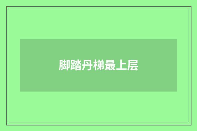 脚踏丹梯最上层