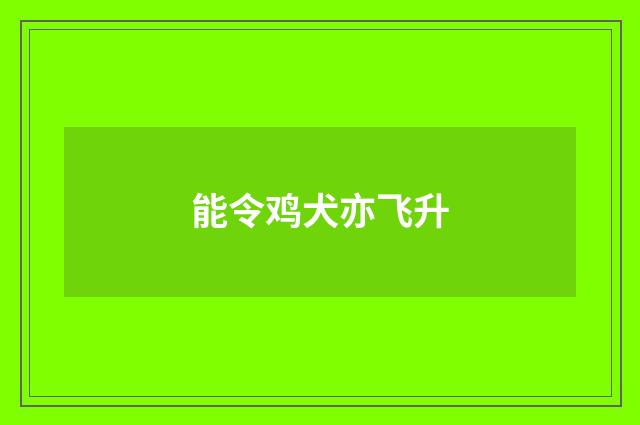 能令鸡犬亦飞升
