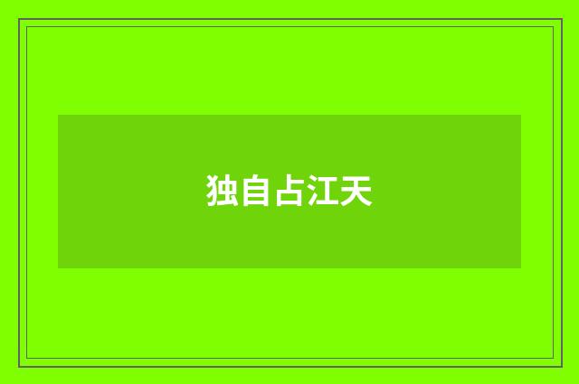 独自占江天