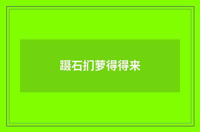 蹑石扪萝得得来