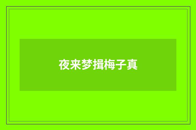 夜来梦揖梅子真