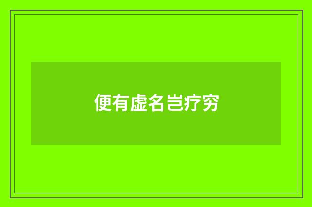 便有虚名岂疗穷