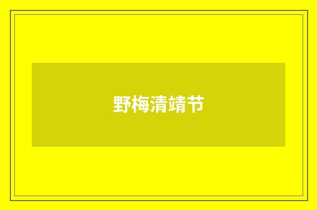 野梅清靖节