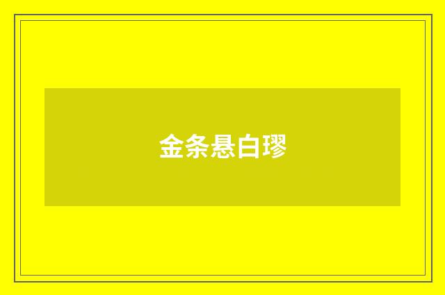 金条悬白璆