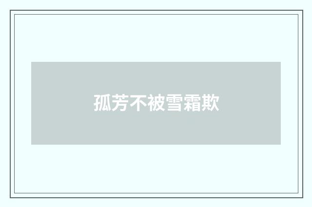 孤芳不被雪霜欺