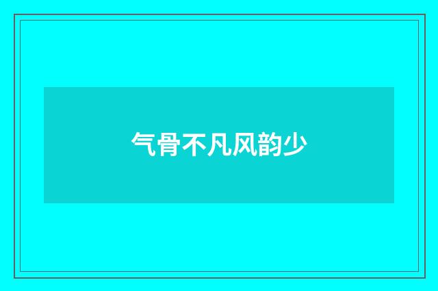 气骨不凡风韵少