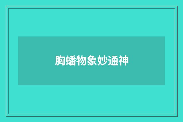 胸蟠物象妙通神
