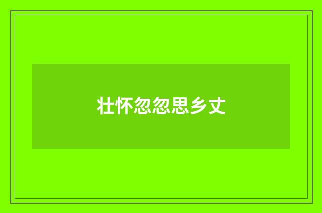 壮怀忽忽思乡丈