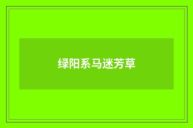 绿阳系马迷芳草