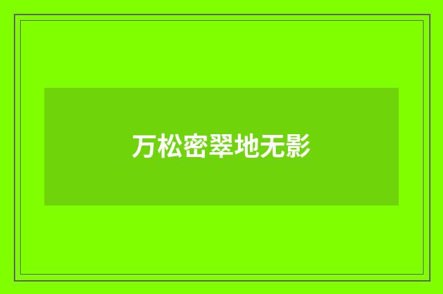 万松密翠地无影
