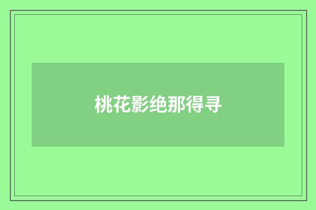 桃花影绝那得寻