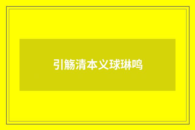 引觞清本义球琳鸣