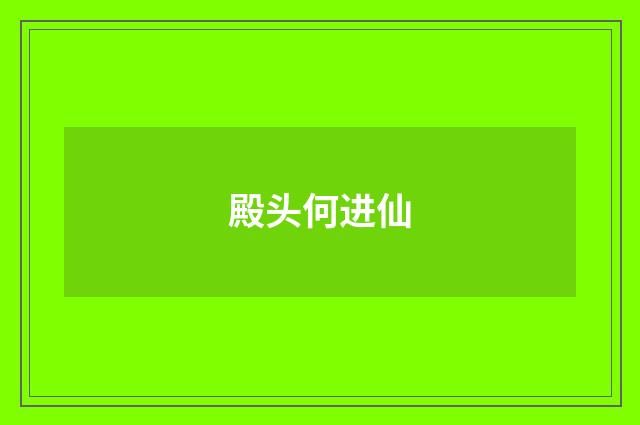 殿头何进仙