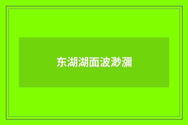 东湖湖面波渺瀰
