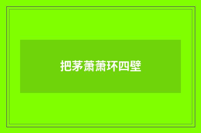 把茅萧萧环四壁