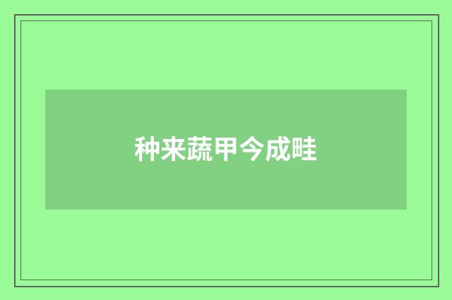 种来蔬甲今成畦