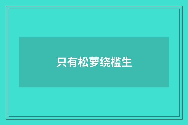 只有松萝绕槛生