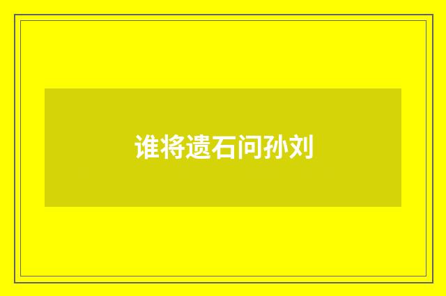 谁将遗石问孙刘