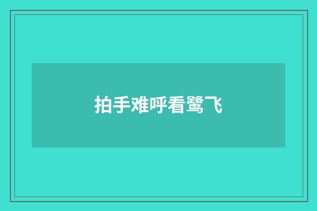 拍手难呼看鹭飞