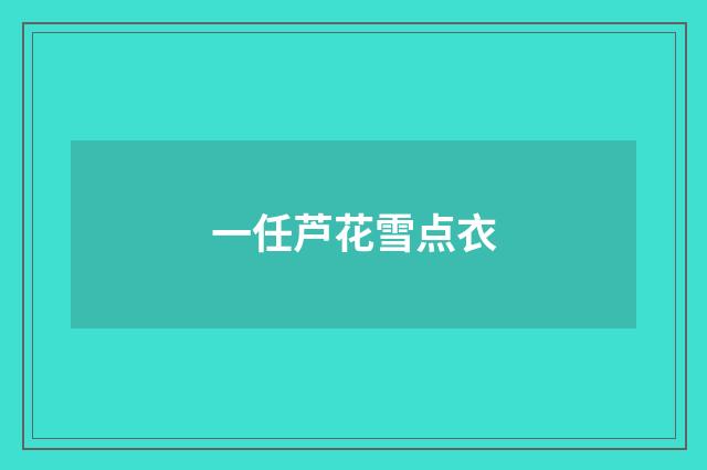 一任芦花雪点衣