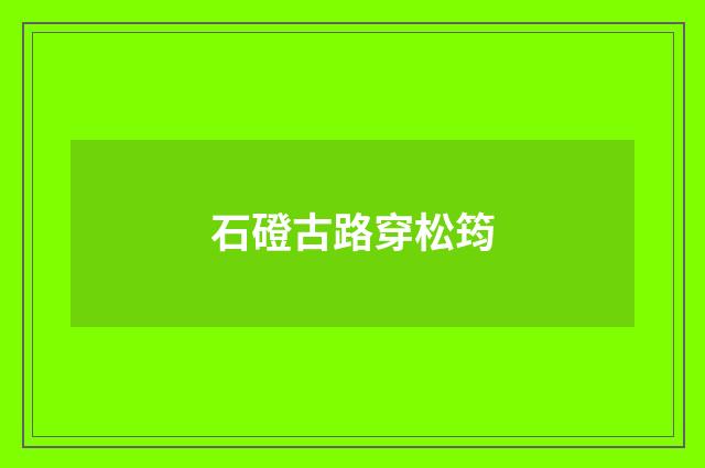 石磴古路穿松筠