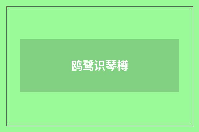 鸥鹭识琴樽