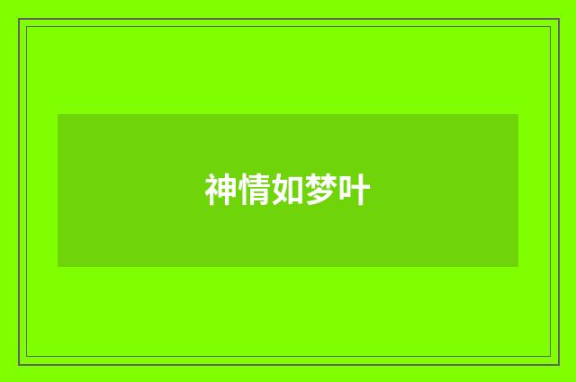 神情如梦叶