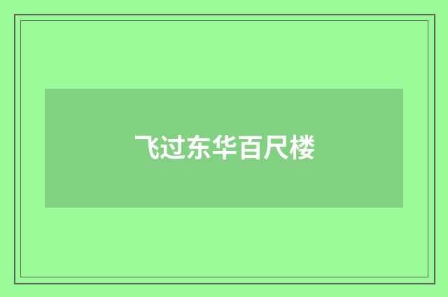 飞过东华百尺楼
