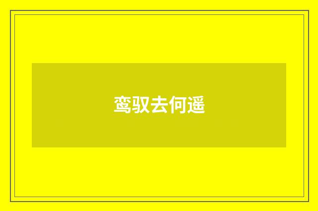 鸾驭去何遥