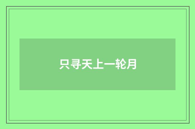 只寻天上一轮月